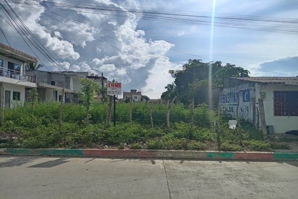 WhatsApp Image 2025-07-14 at 7.50.04 AM (1).jpeg